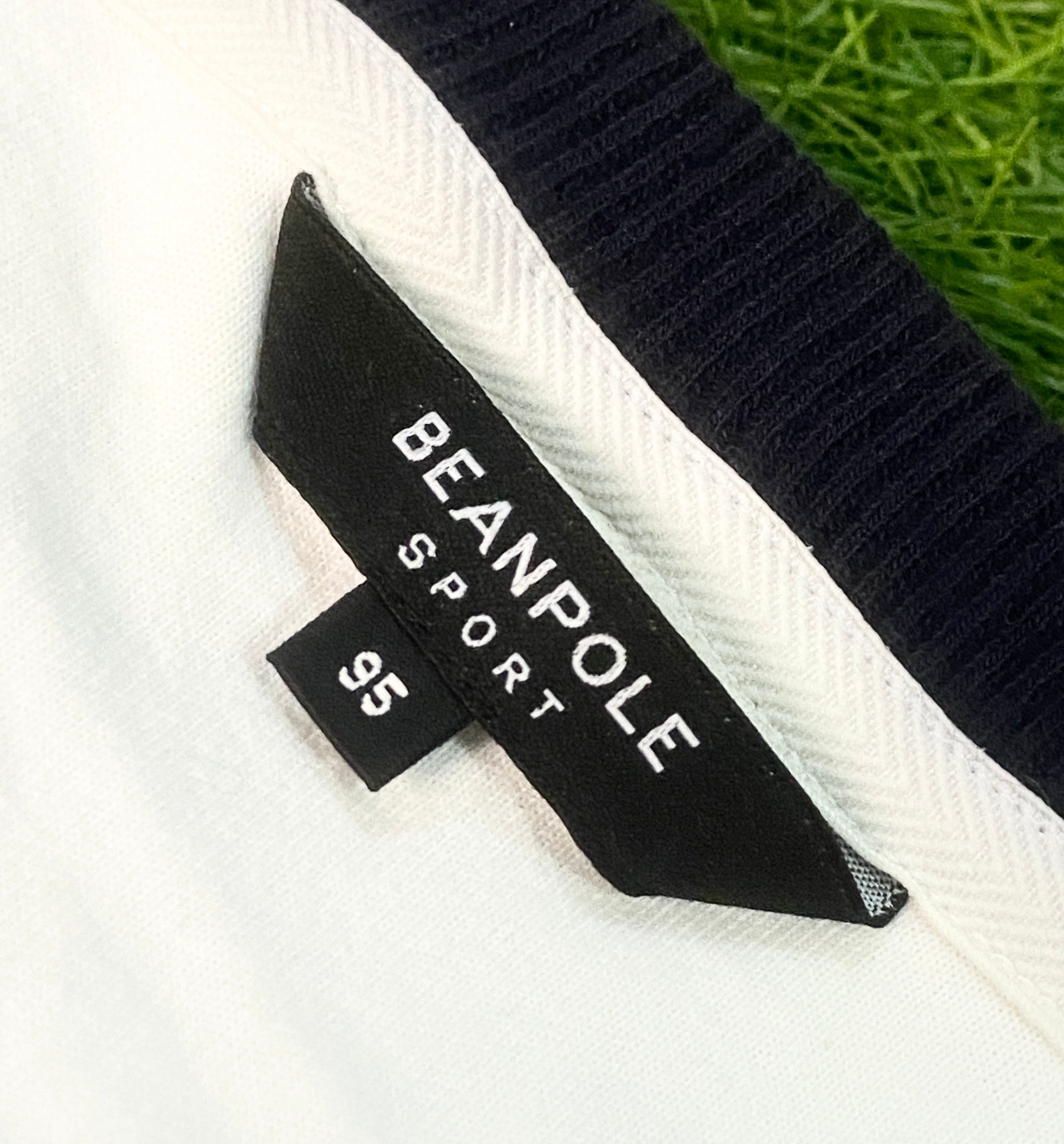 BEANPOLE
