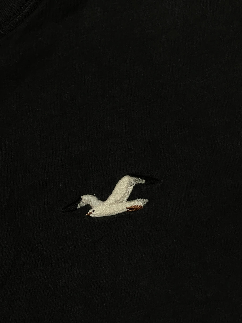 HOLLISTER HENLEY