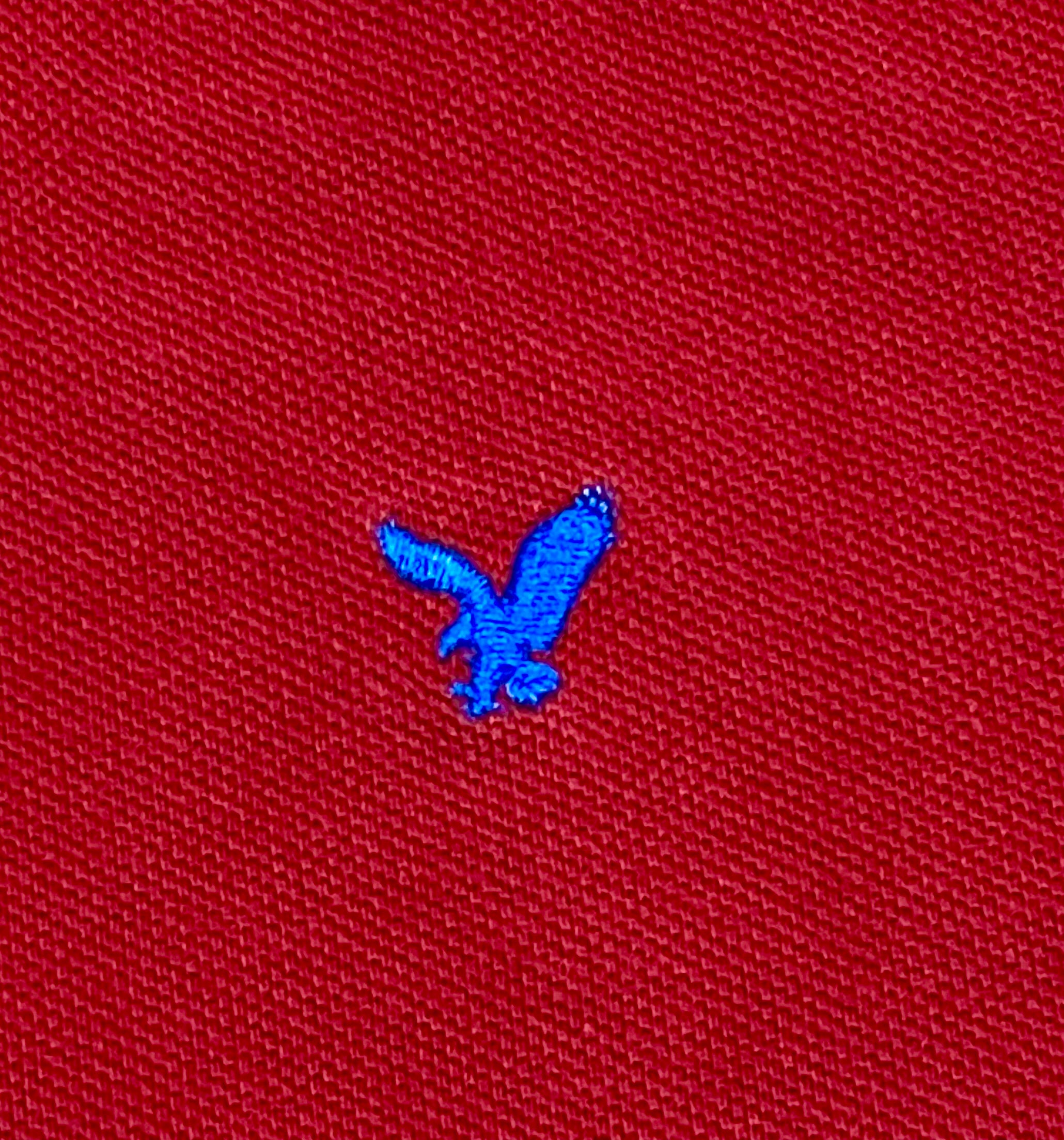 AMERICAN EAGLE - POLO