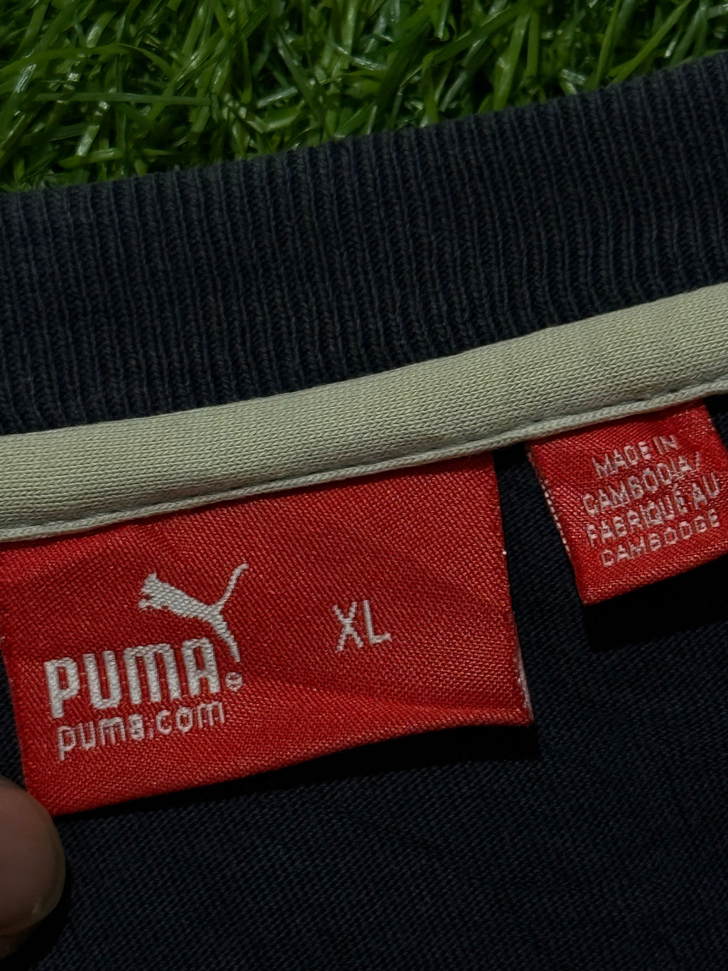 Puma