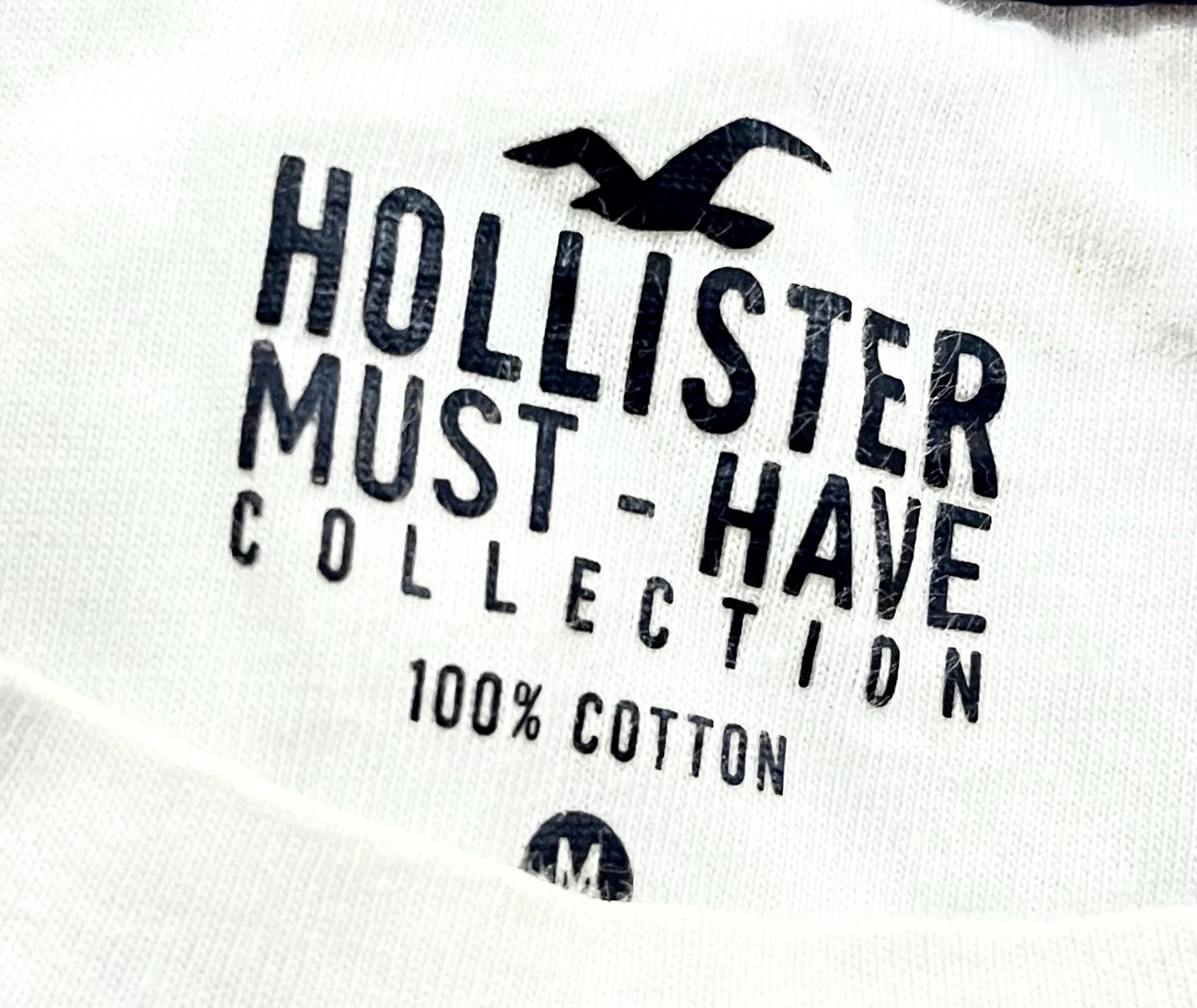 HOLLISTER