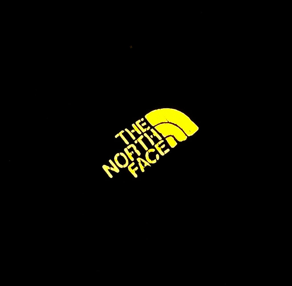 THE NORTH FACE - TEE