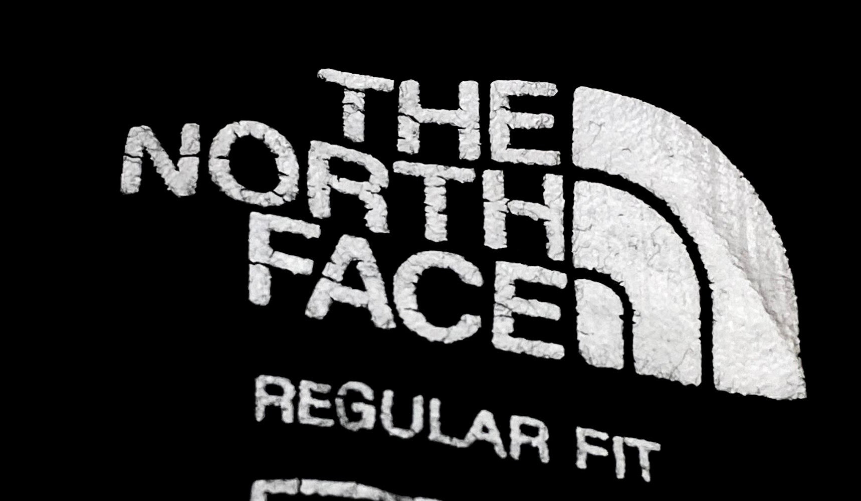 THE NORTH FACE - TEE