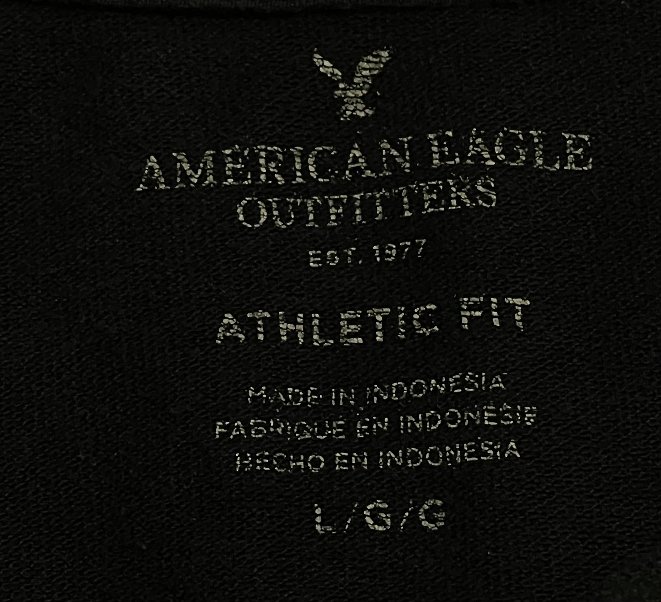 AMERICAN EAGLE POLO